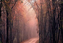 PG娱乐:乒乓球运动员王楚钦拟被北京大学录取.