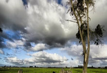 PG娱乐:4次破发!萨巴伦卡71分钟横扫保利尼杀入决赛,冠军稳了?.