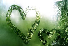 布冯笑谈归化基米希的可能性:当德国人让他很高兴.