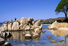 祝贺战斗天使!吴艳妮破全国纪录泪洒现场央视体育.